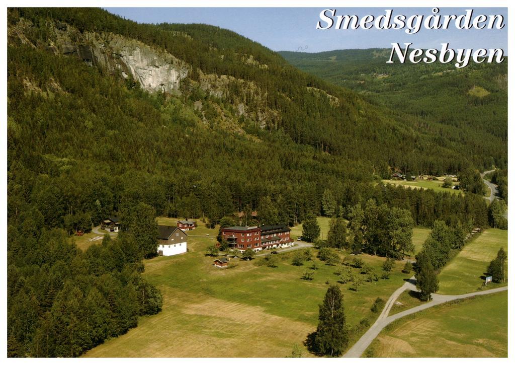 Smedsgarden Hotel Nesbyen Esterno foto